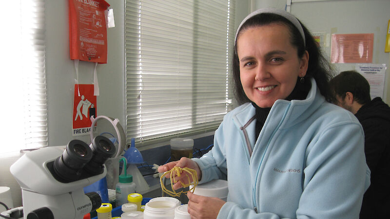Dr Claudia Arango with a giant sea spider from Antarctica.
