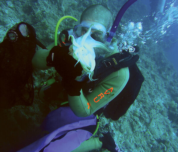 Diver collecting a cuttlefish