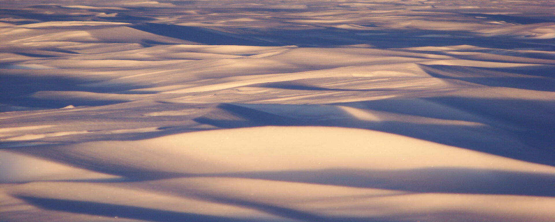 Featureless icy landscape