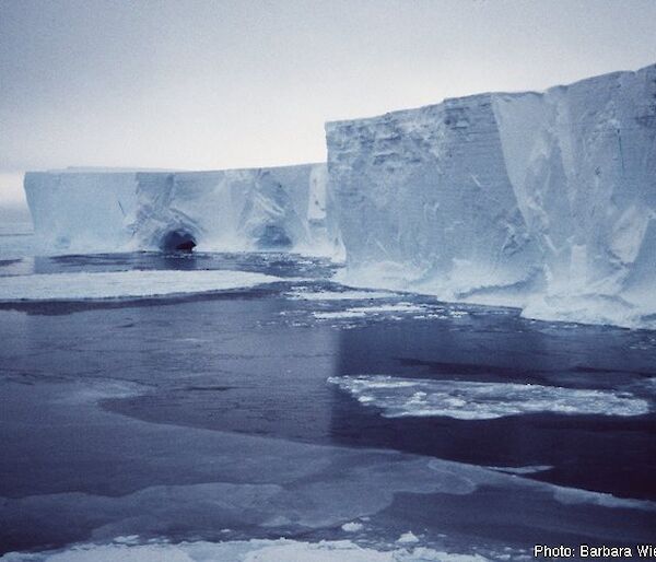 The Mertz Glacier tongue