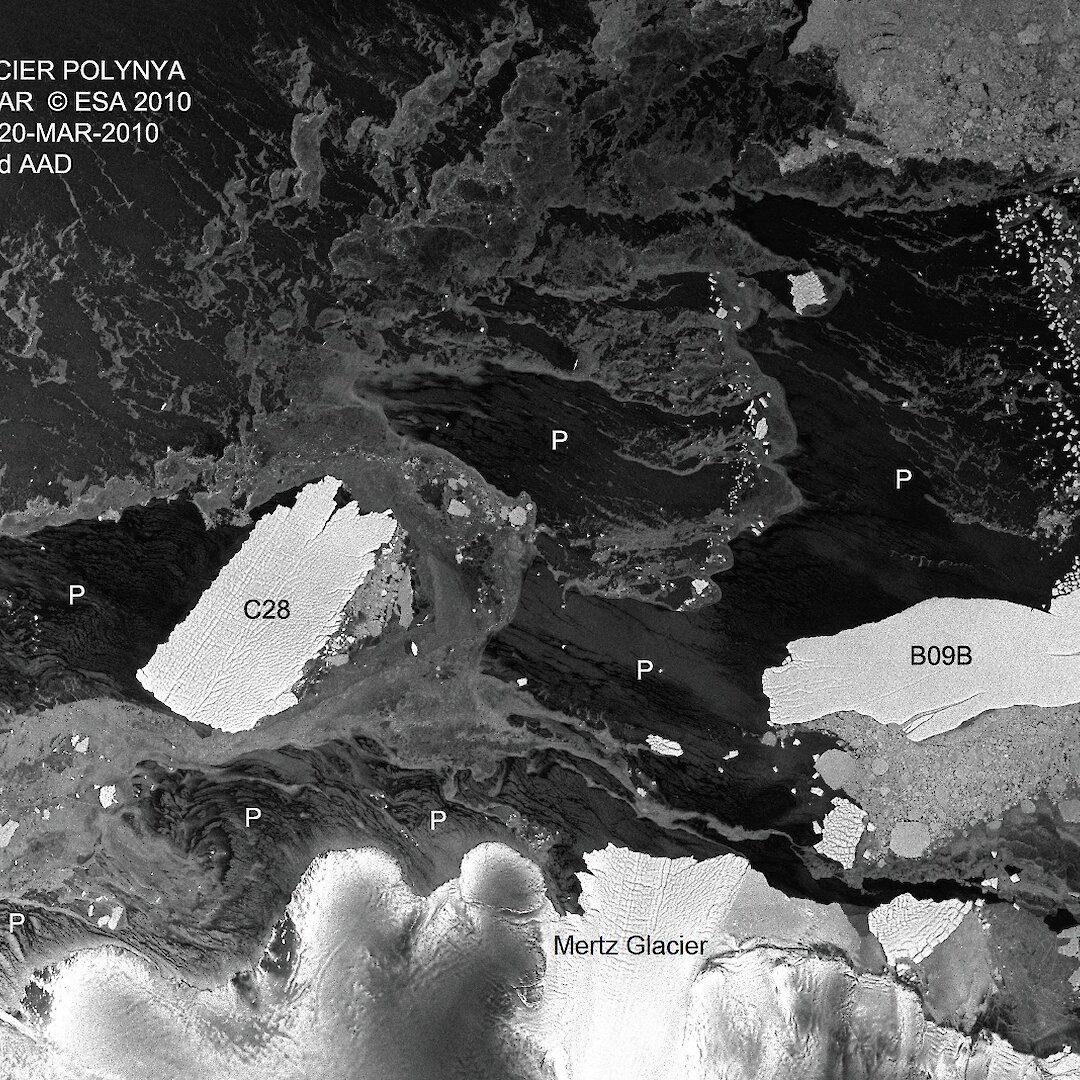 Gigantic iceberg altering natural processes — Australian Antarctic