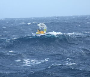 A weather buoy rides a wave in the Southern Ocean.
