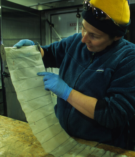 Expeditioner reading results from the Continuous Plankton Recorder