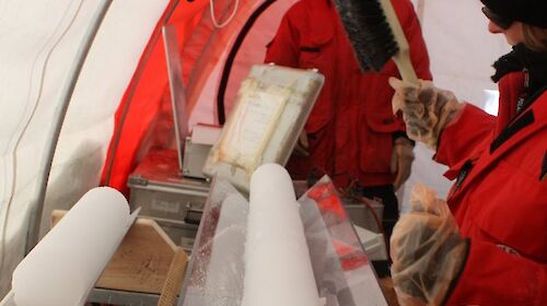 Glaciologist Tessa Vance with ice core at Law Dome in Antarctica