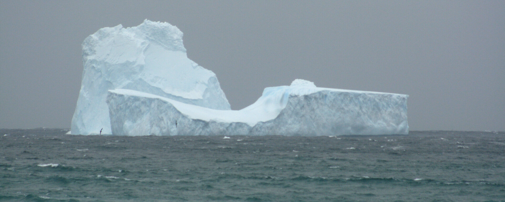 Close-up of iceberg in Garden Bay at the north end of Macquarie Island