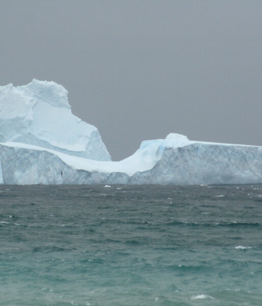 Close-up of iceberg in Garden Bay at the north end of Macquarie Island