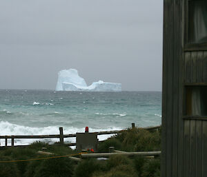 Iceberg in Garden Bay at the north end of Macquarie Island