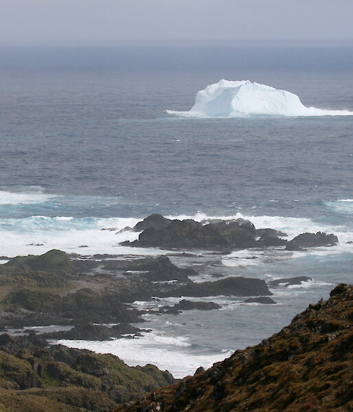 Iceberg at Bauer Bay off the west coast of Macquarie Island