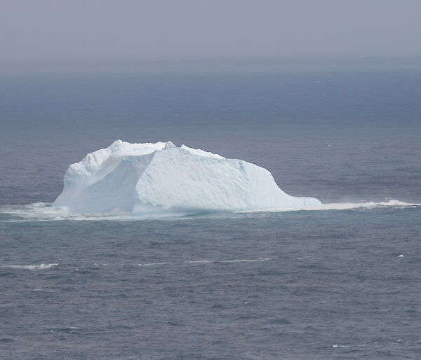 One of the icebergs around Macquarie Island