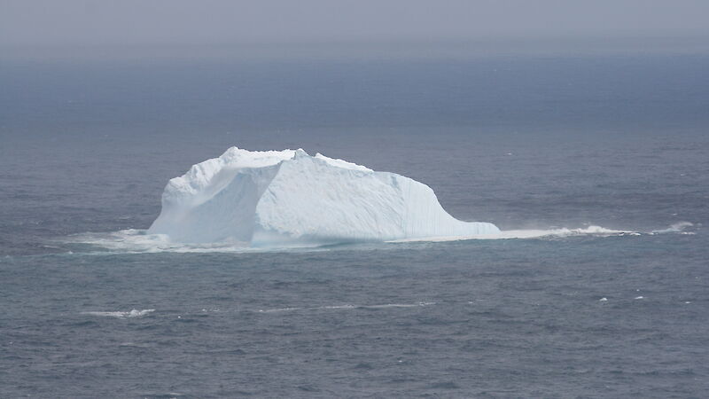 One of the icebergs around Macquarie Island