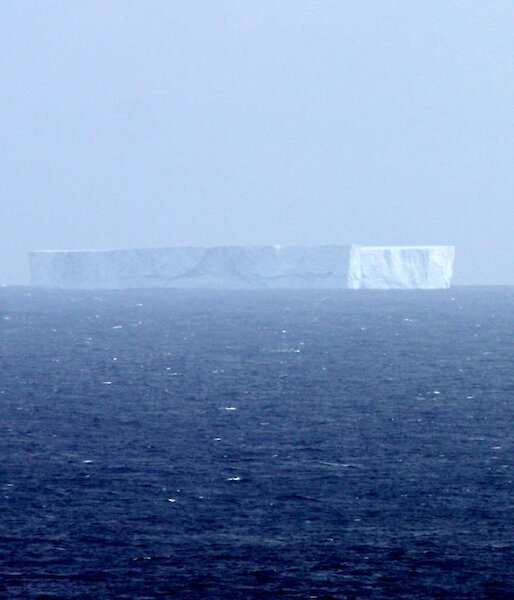 Iceberg off Macquarie Island