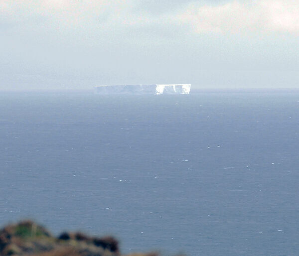 Iceberg near Macquarie Island