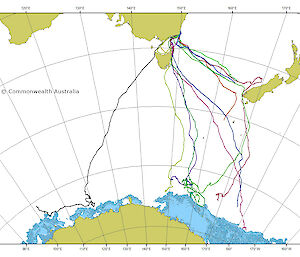 The paths taken by 16 humpback whales, tagged near Eden