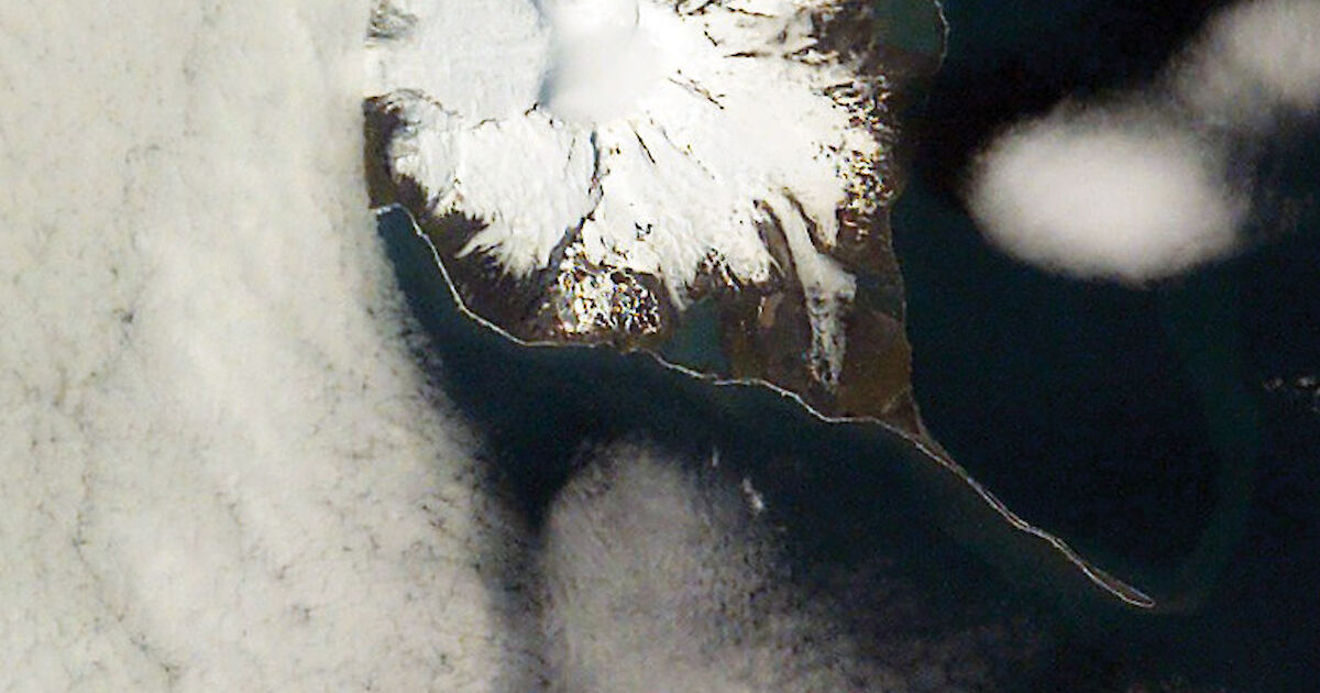 Rare visit to remote Southern Ocean territory finds changes ...