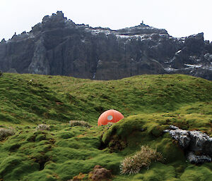 Apple hut in middle of grassy area on Heard Island, with rocky outcrop in background