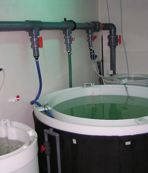 Two large tanks containing water with attached filtration system.