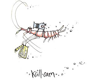 Cartoonist’s impression of krill cam.