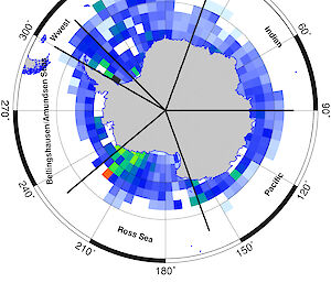 Circumpolar map of mean annual snow thickness.