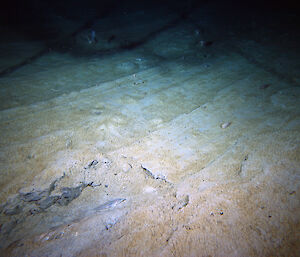 Drifting icebergs have scoured large swathes of the Southern Ocean sea-bed