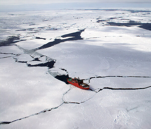 The Aurora Australis in sea ice