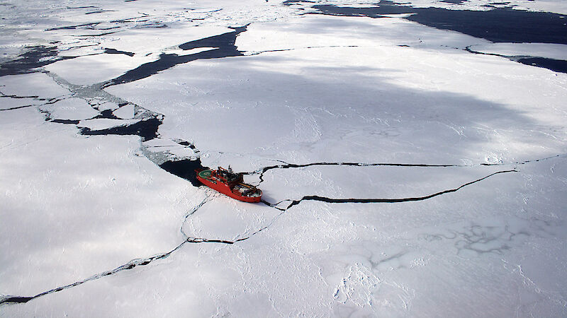 The Aurora Australis in sea ice