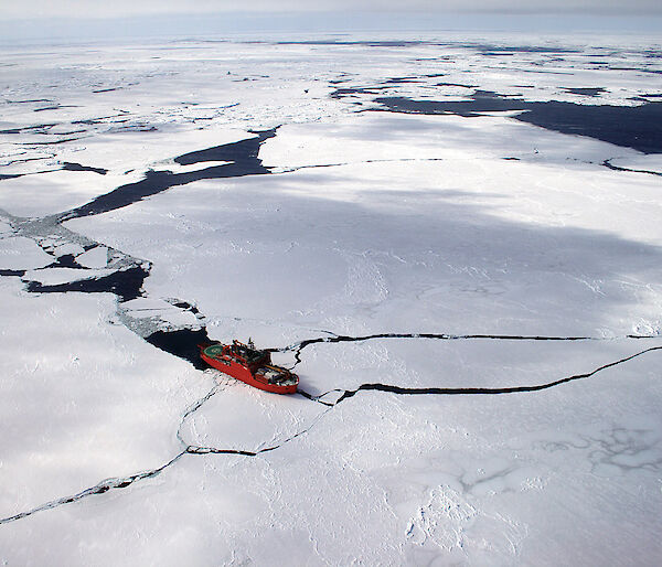 The Aurora Australis in sea ice