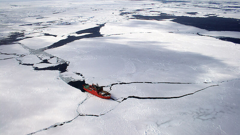 The Aurora Australis in sea ice