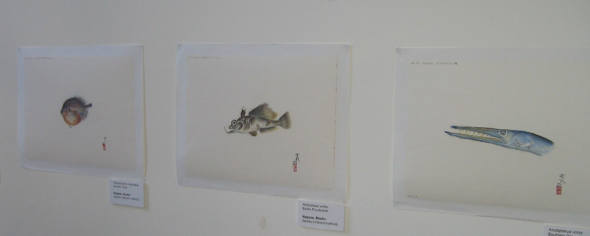 Boshu Nagase’s Gyotaku prints.