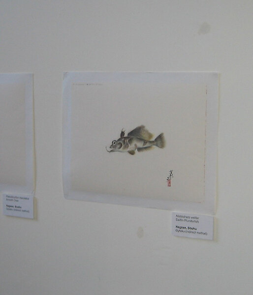 Boshu Nagase’s Gyotaku prints.