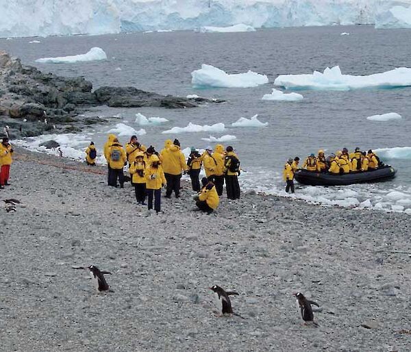 An inflatable water craft brings more tourists on to a rocky isolated beach. Ice cliffs form the back ground with a few penguins in the foreground.