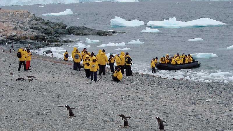 An inflatable water craft brings more tourists on to a rocky isolated beach. Ice cliffs form the back ground with a few penguins in the foreground.