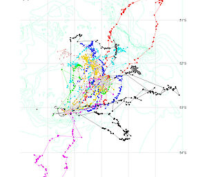 Female fur seal tracks around Heard Island for 20 individuals for a single foraging trip each between the 20 December 2003 and 11 January 2004. Dots represent the Argos locations with the temporal sequence shown by linking the dots with straight lines.