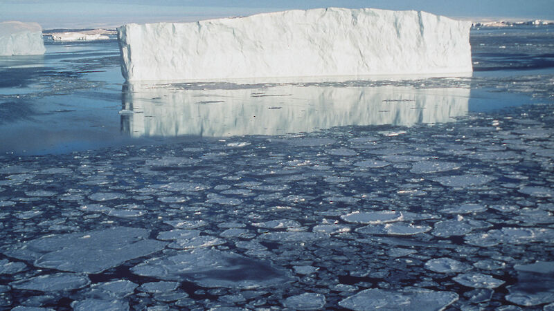 Iceberg near Davis