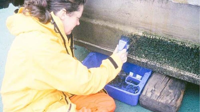 Cleaning marine debris from the barge