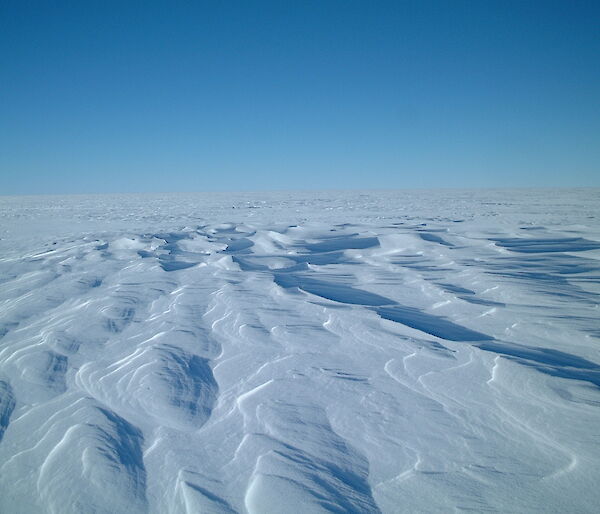 The snow surface at Law Dome, one of the ice core sites used in this study.