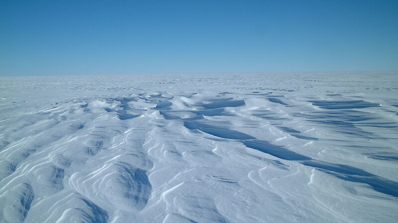 The snow surface at Law Dome, one of the ice core sites used in this study.