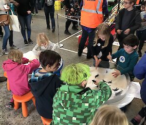 Children playing with the Epsom salts touch tank and 3D printed penguins.