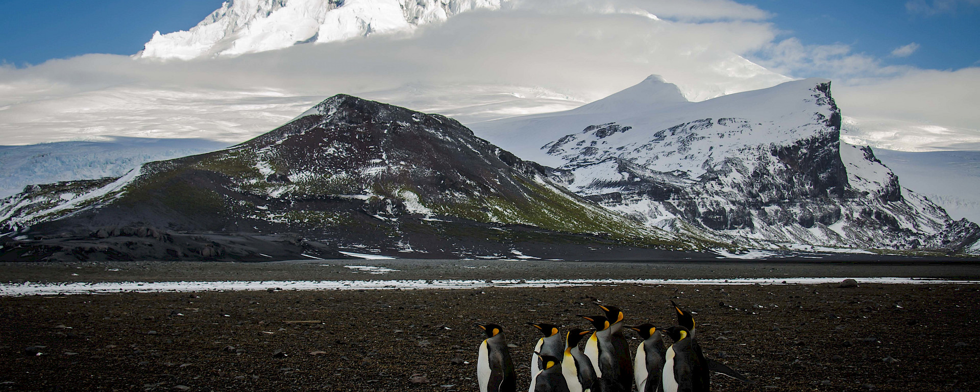 Penguins and a mountain