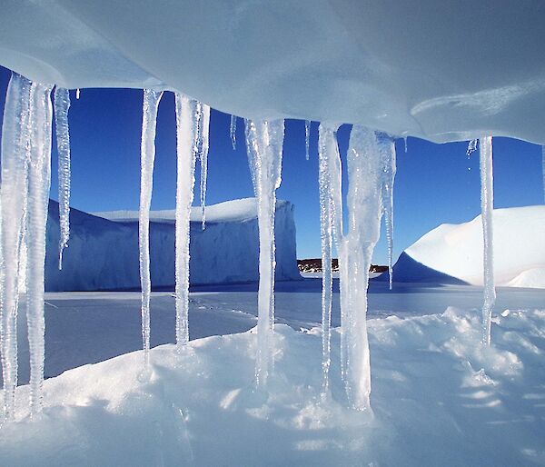 Ice crystals at Colbeck Archipelago, Mac.Robertson Land