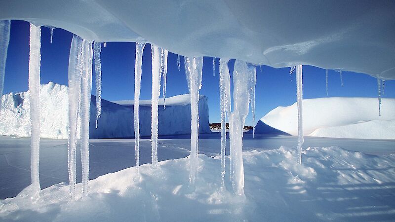 Ice crystals at Colbeck Archipelago, Mac.Robertson Land