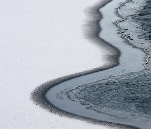 Young sea ice on ice margin