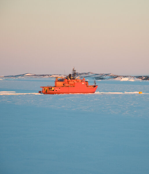 Aurora Australis parked in sea ice near Davis research station