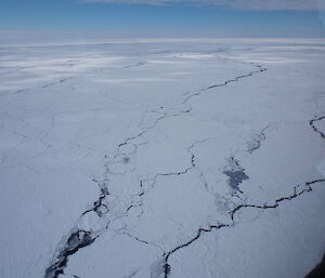 Leads in the sea ice