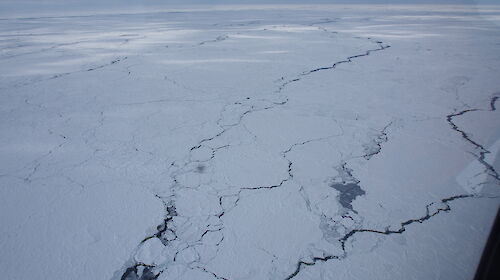 Leads in the sea ice