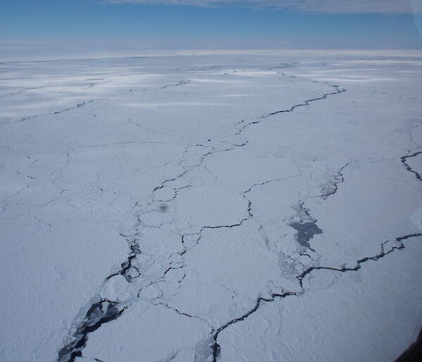 Leads in the sea ice