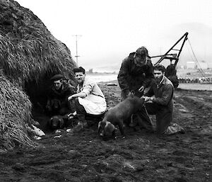 black and white photo of men and pigs