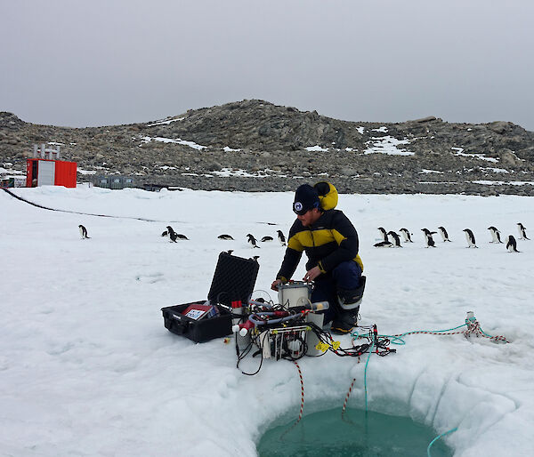 Scientist operating equipment at dive hole with Adelie penguins in background