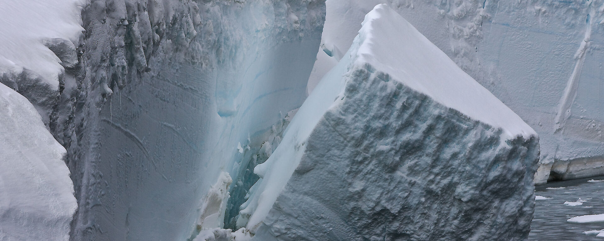 An iceberg calving off an ice shelf.