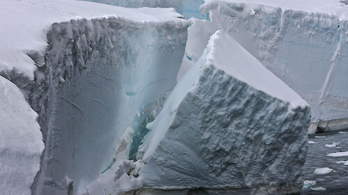 An iceberg calving off an ice shelf.