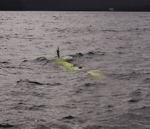 The AUV floating freely in the water.